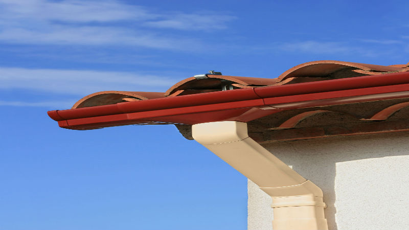 What to Look for in a Gutter Service in Springfield, VA