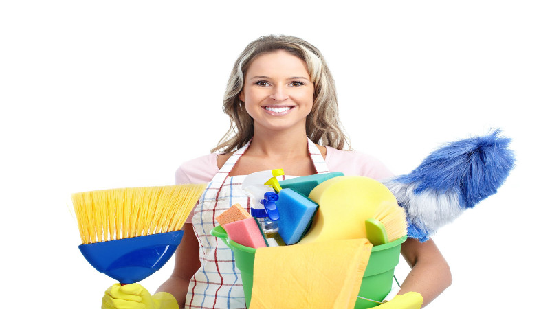 Why Should You Hire Professional House Cleaning Services in Mill Valley, CA?