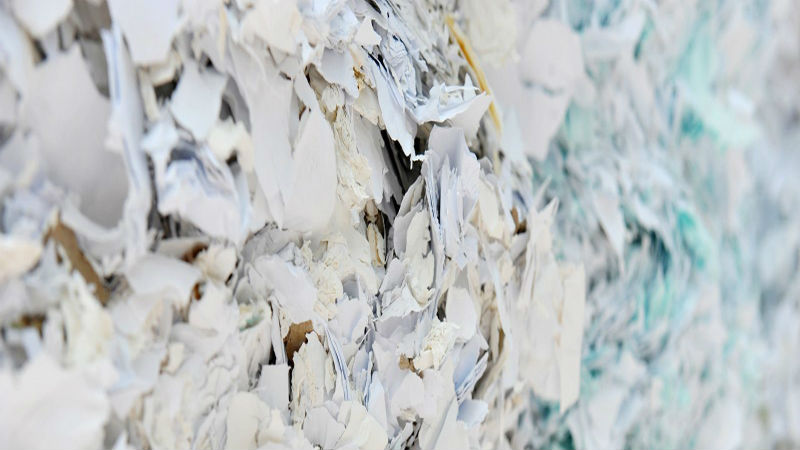 Why Hiring a Paper Shredder in Denver Is the Best Option