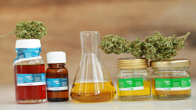 What to Know About a Marijuana Doctor in Clearwater, FL