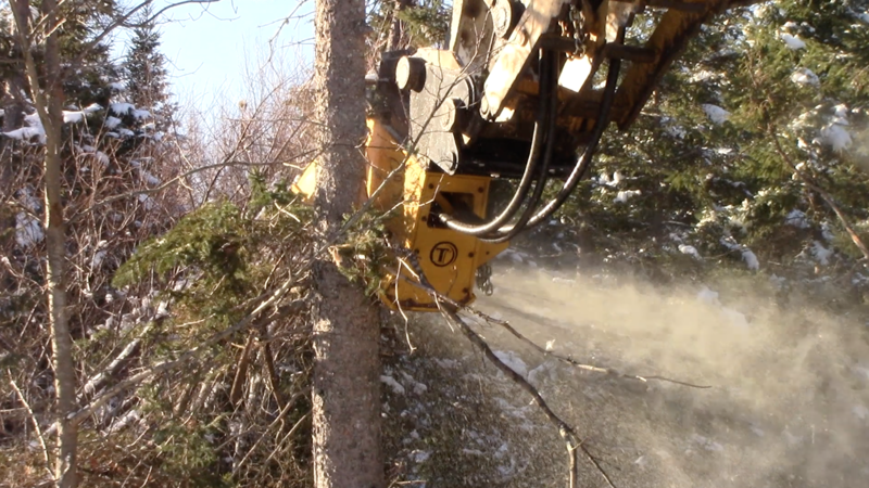 Buying a Mini Excavator Brush Cutter Will Save You So Much Time