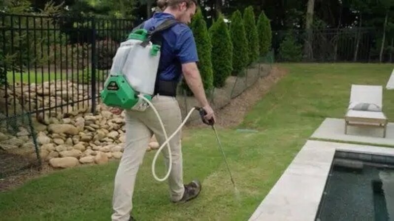 The Right Exterminator in Peachtree City, GA, Is Affordable and Easy to Find