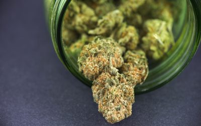 What Can You Get at the Best Dispensaries Near Long Beach, CA?