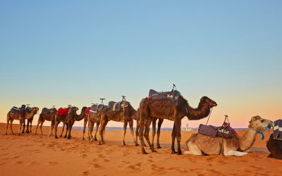 Marrakech to Merzouga: A 3-Day Expedition Through the Dunes