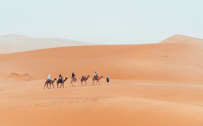 Sahara Sands Await: Your 3-Days Desert Tour from Marrakech