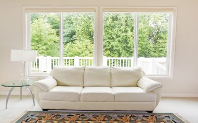 Enhance Comfort and Sustainability with Energy Efficient Replacement Windows in Upper Darby, PA