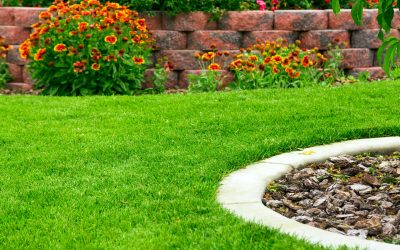 Transform Your Outdoor Space with Expert Landscape Installation in Montclair, NJ