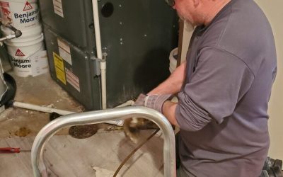 Save Energy with New Water Heater Replacement in Wheat Ridge, CO