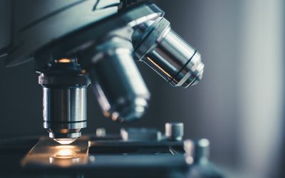 DNA Testing in Rockingham, NH: Your Path to Understanding Ancestry and Health