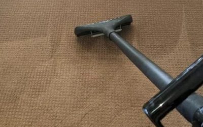 Ultimate Guide to Carpet Cleaning Near Arvada CO: What You Need to Know