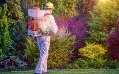 Protect Your Backyard with Effective Mosquito Control Mt. Washington, KY Solutions