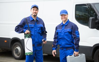 Why Homeowners Trust Local Pest Control Service Wilmington, NC for Fast Reliable Results