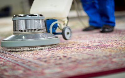 How Professional Carpet Cleaning in Madison, WI Boosts Workplace Productivity