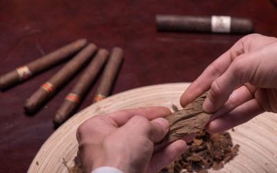 Experience convenience with an online tobacconist in the UK for home delivery of premium cigars