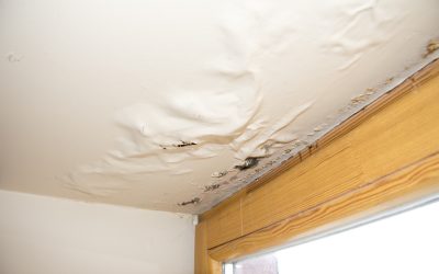 Minimize Stress with Reliable Emergency Water Damage Cleanup in Joliet, IL