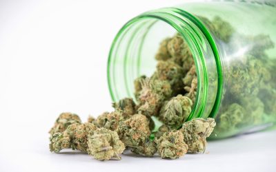 Health Impacts Shaping Consumer Decisions on Hemp Vs THCA Across the US